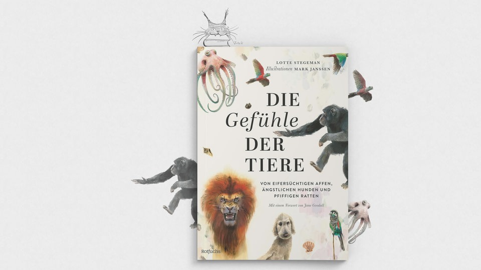 Buchcover "Die Gefühle der Tiere" von Lotte Stegemann, mit Grafikelementen als Luchs des Monats