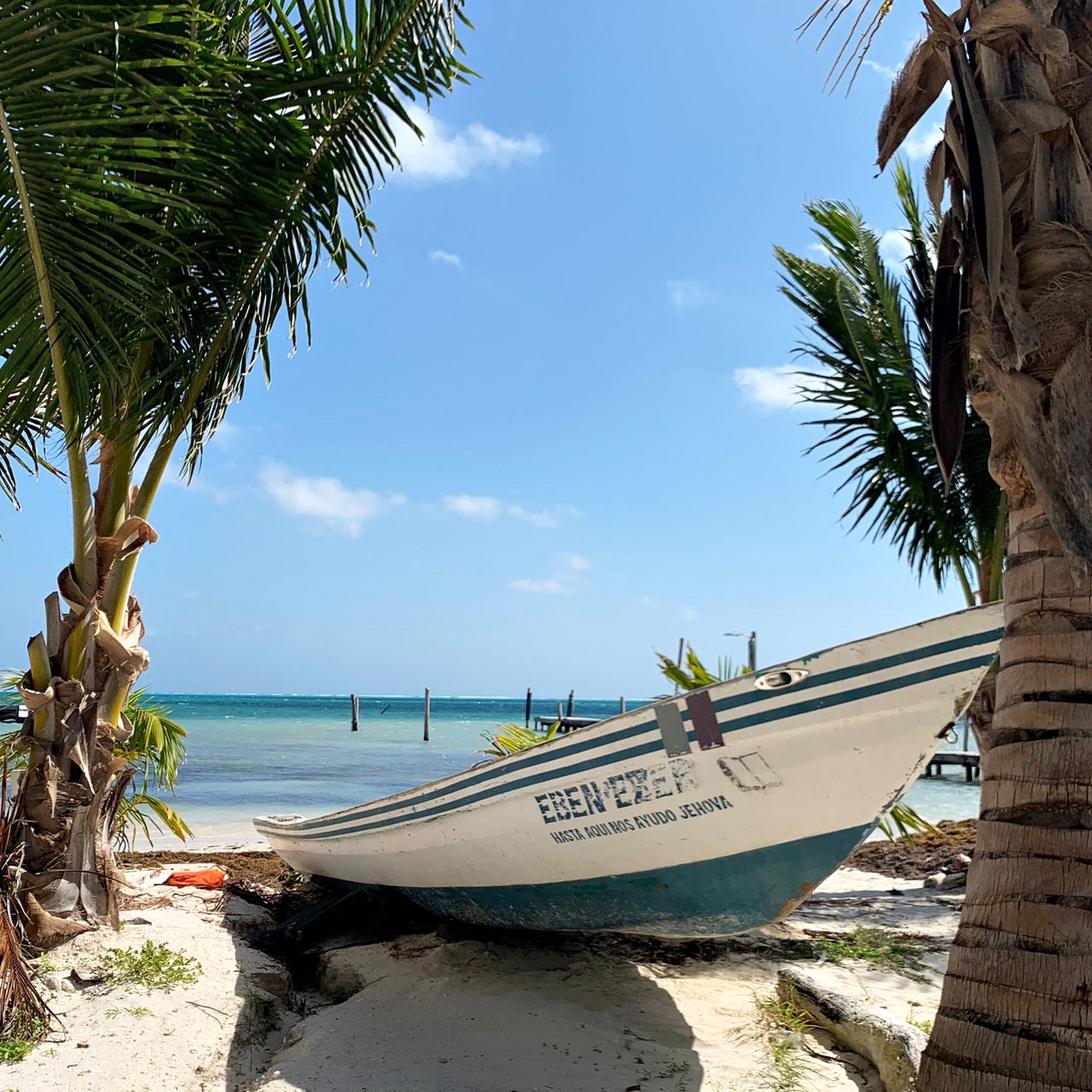 Ein Boot liegt am Strand von Caye Caulker zwischen Palmen