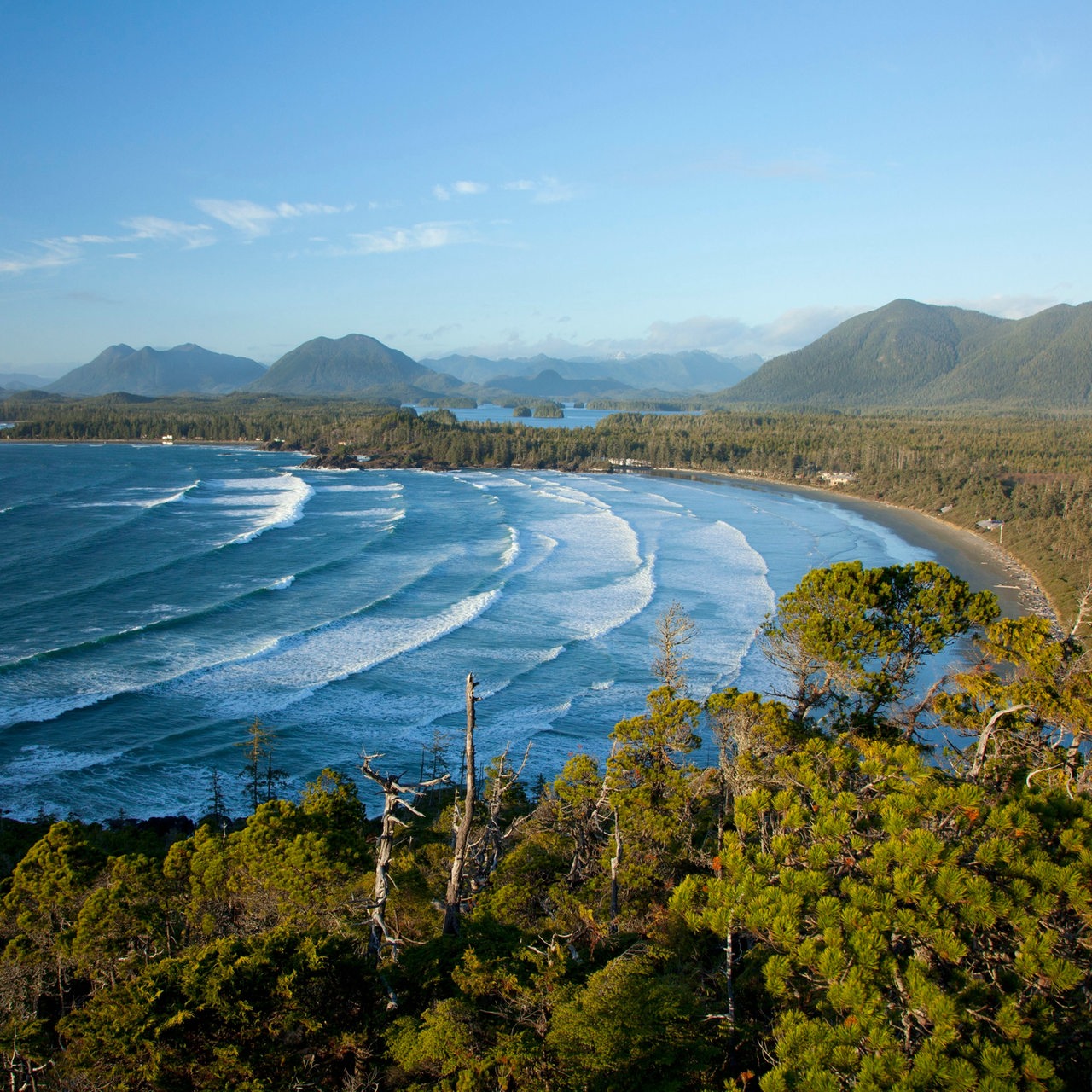 Blick auf Cox Bay, umgeben von Wald und Bergen, British Columbia Canada