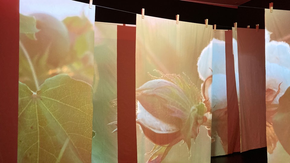 Exponate in der Ausstellung "100 Prozent Baumwolle" im Übersee-Museum