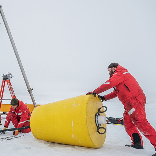 Das AWI-Team setzt eine Boje zur Messung von Temperatur, Salzgehalt u.a. Variablen ins Eis.