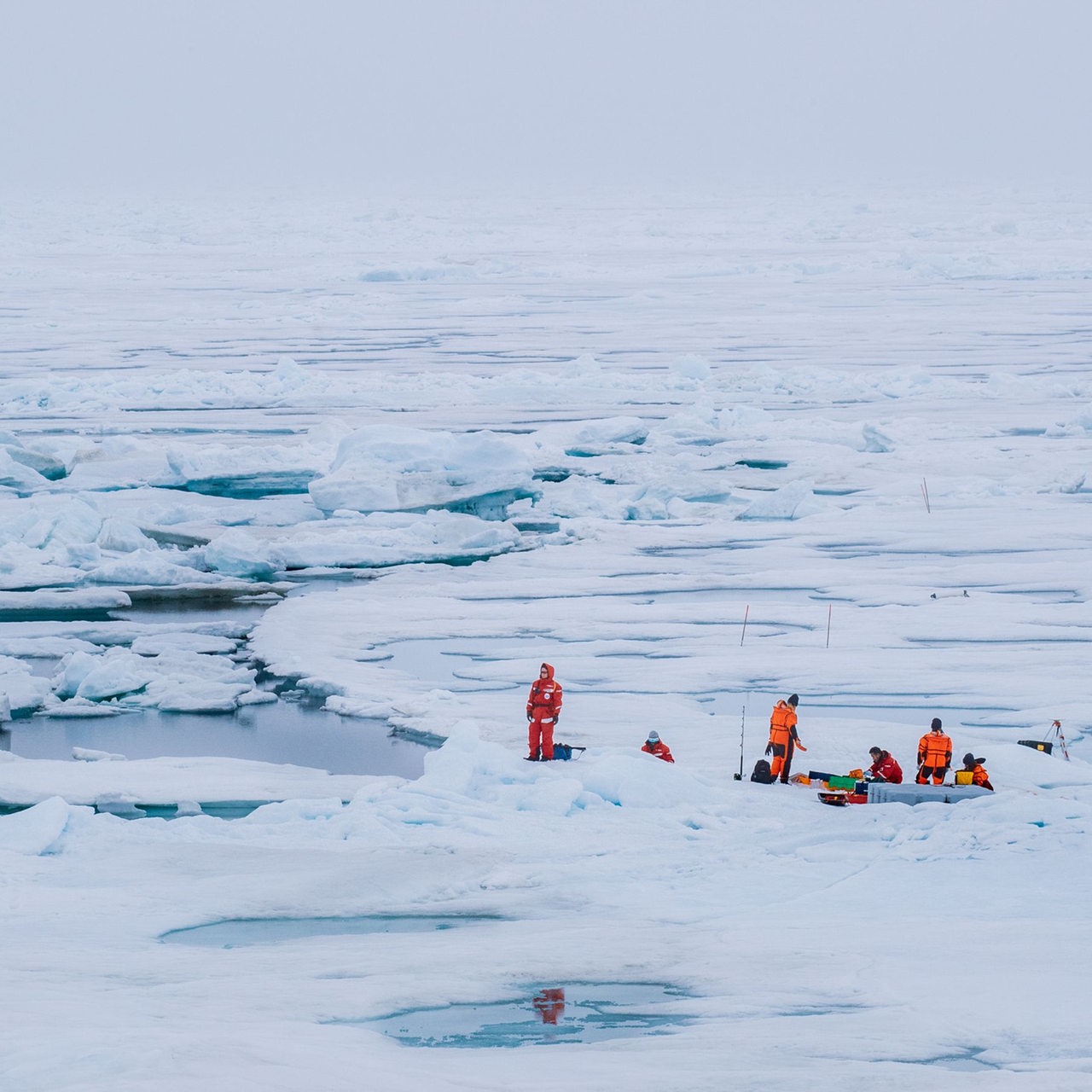 Ein Forscherteam auf einer riesigen Eisscholle, dazwischen offene Wasserflächen 