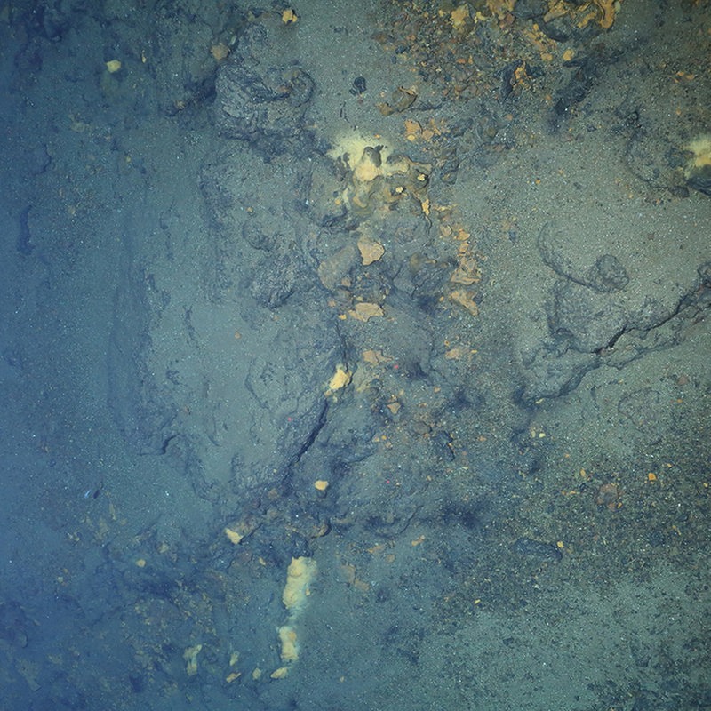 Unterwasserschlote am Grund der Arktis bei einem Tauchgang am Gakkel-Rücken