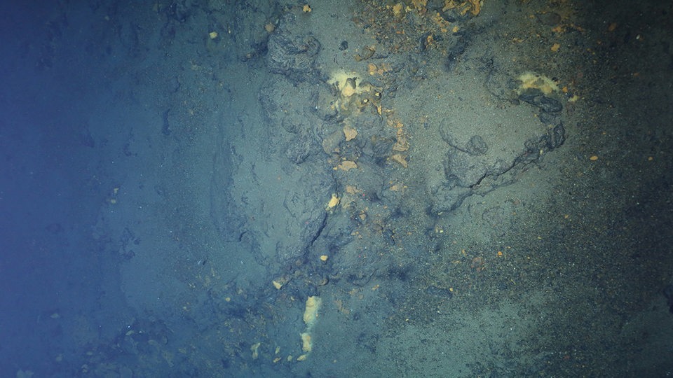 Unterwasserschlote am Grund der Arktis bei einem Tauchgang am Gakkel-Rücken