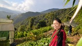 Eine Bio-Bäuerin in Sikkim, Indien