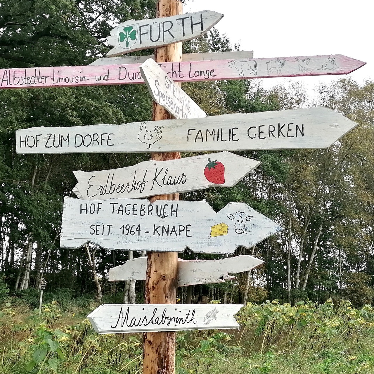 Ein großer, hölzerner Wegweiser, der in viele verschiedene Richtungen zeigt