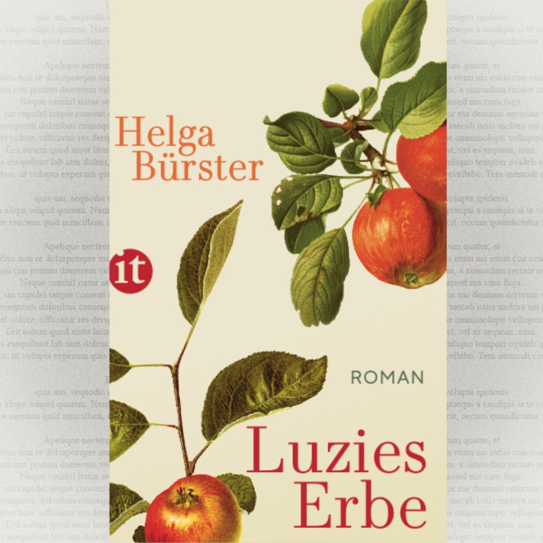 Cover: Helga Bürster, Luzies Erbe, Insel Verlag
