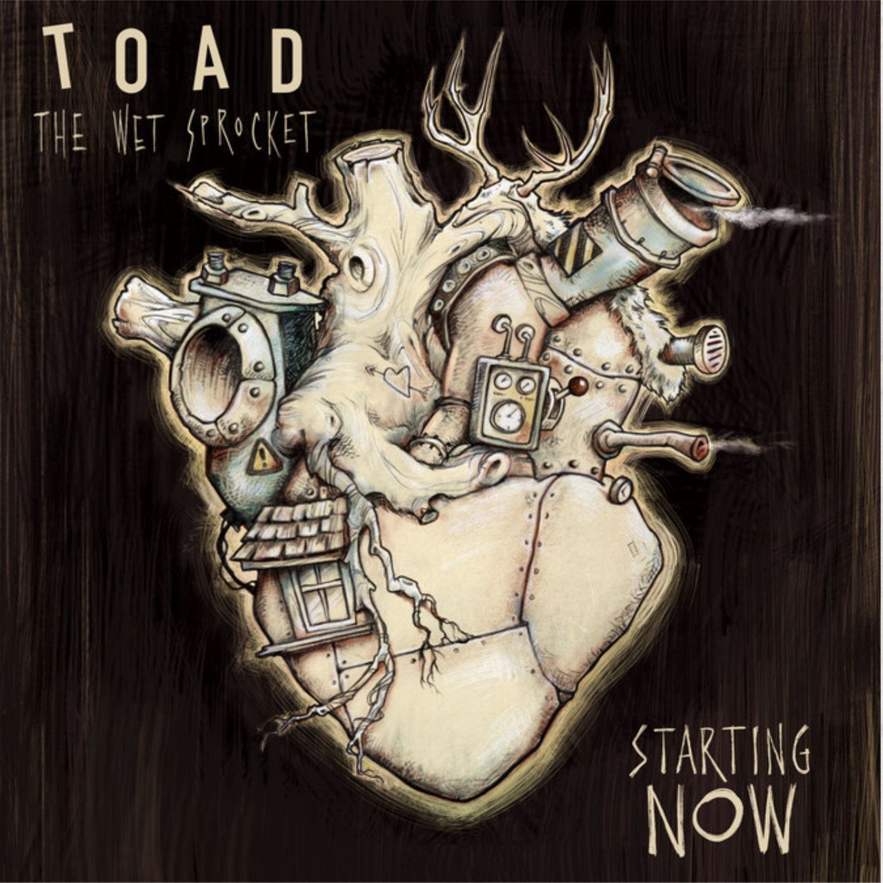 Cover: Toad The Wet Sprocket, Starting Now, SRG/ILS Group