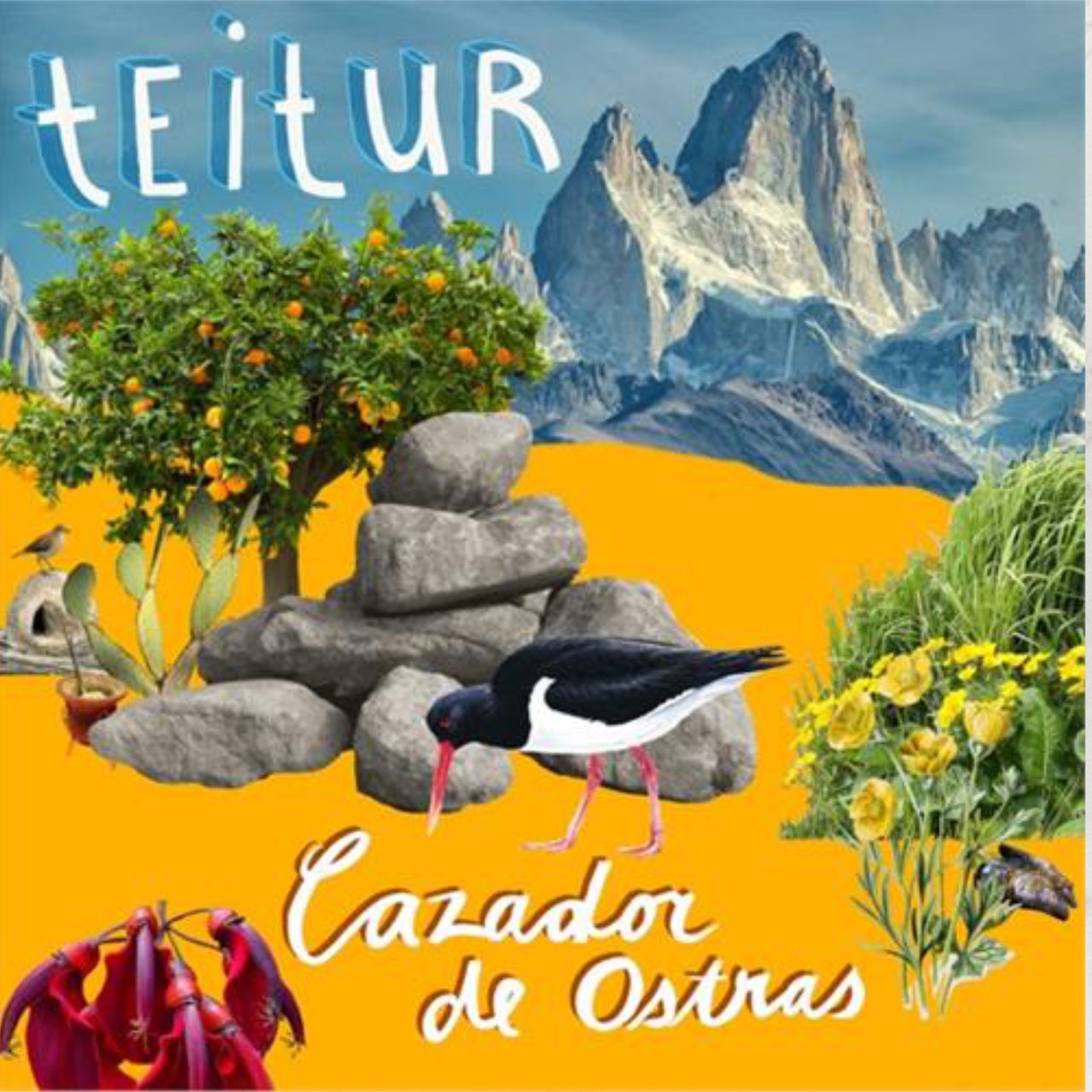Cover: Teitur, Cazador de ostras, Arlo and Betty Recordings