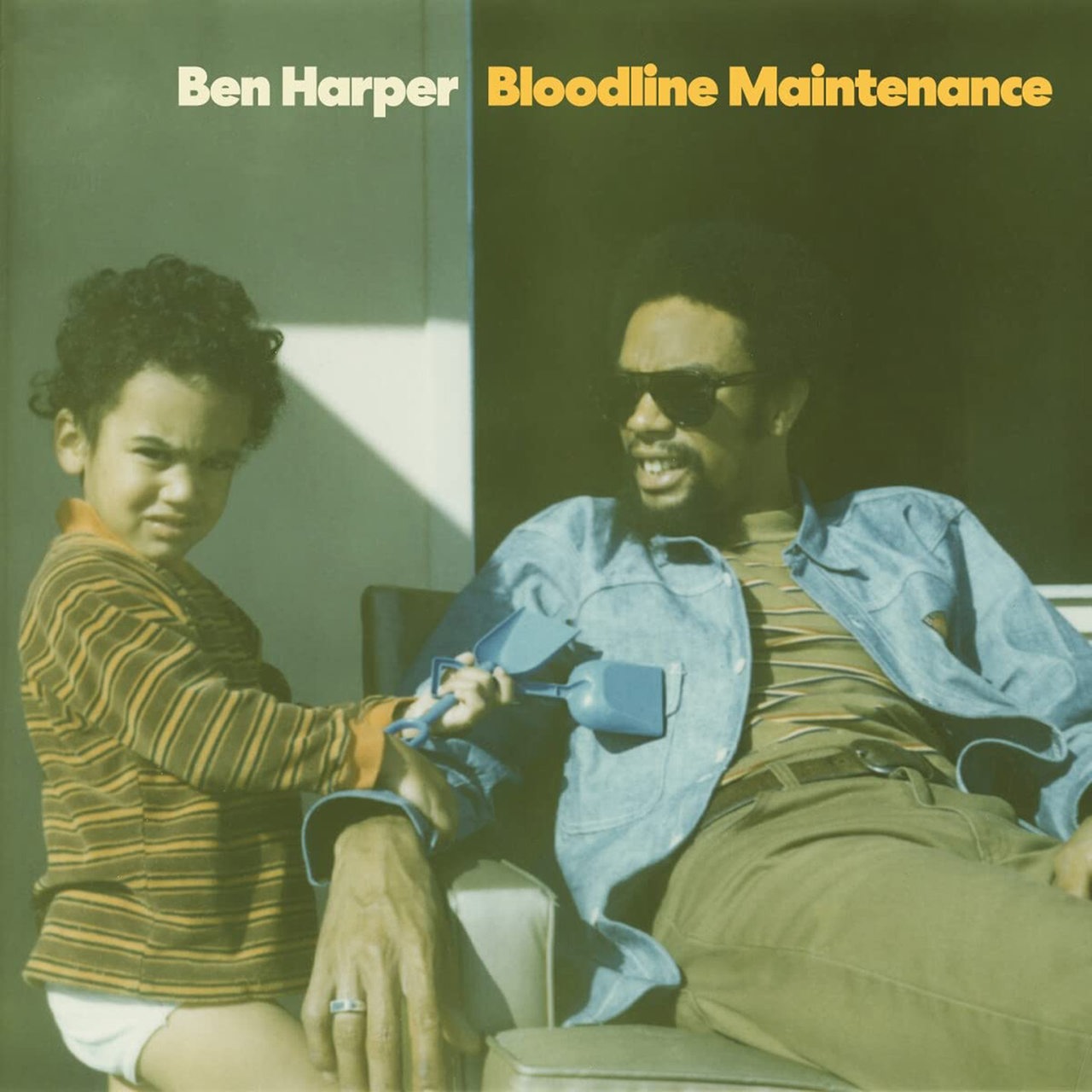 Albumcover Ben Harper „Bloodline Maintenance“