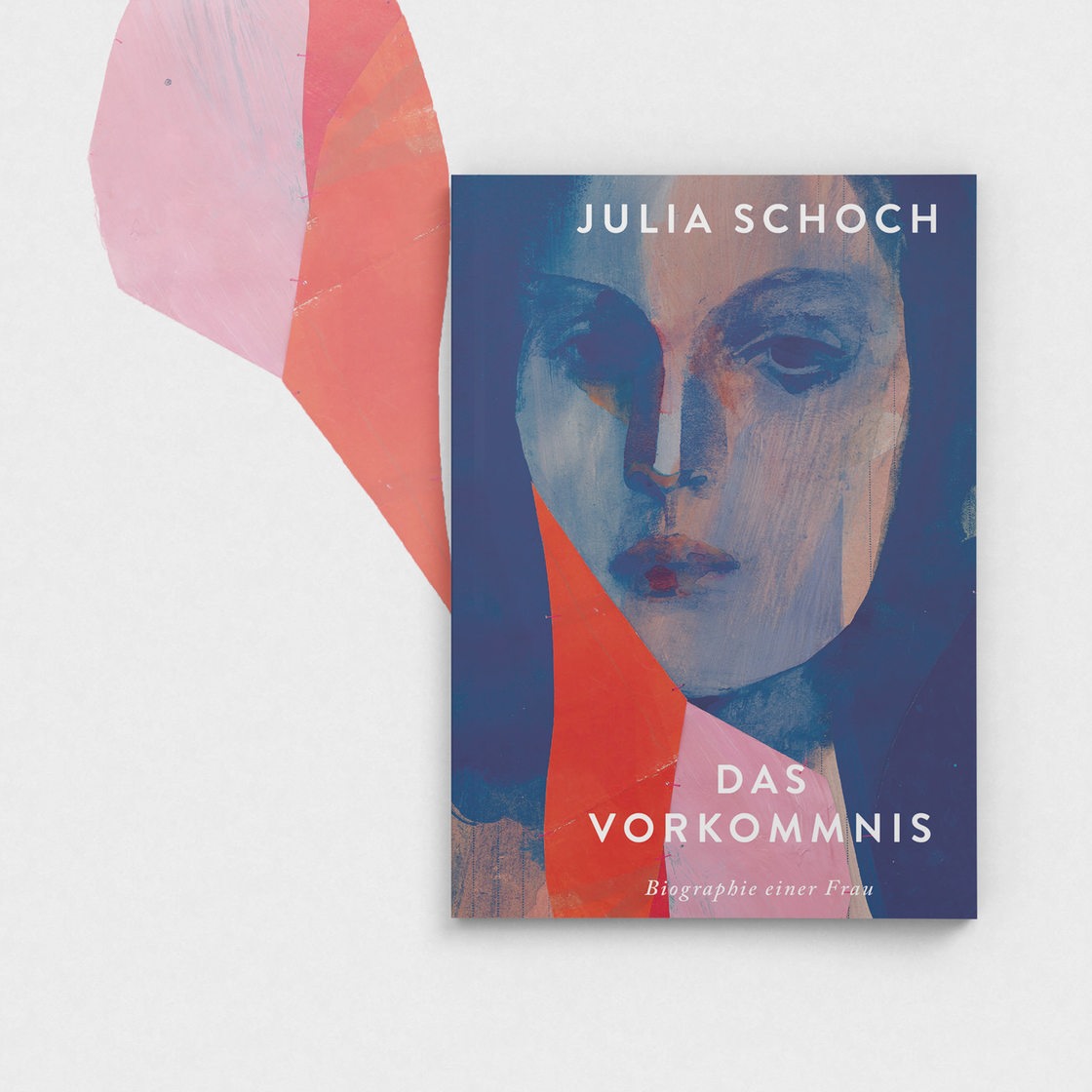 Buchcover Julia Schoch, "Das Vorkommnis"