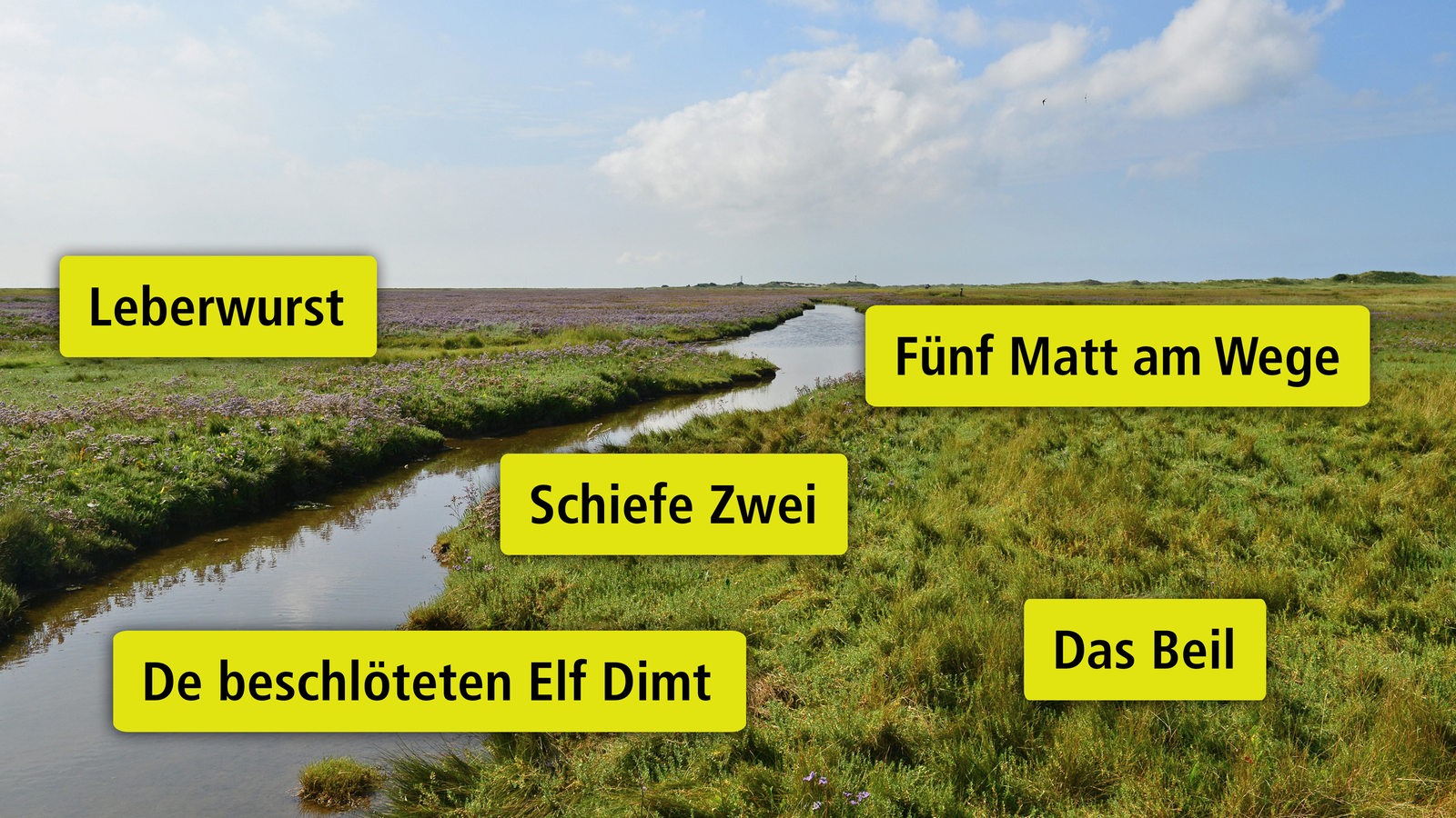 Langer schmaler Entwässerungsgraben in grünen Salzwiesen in Ostfriesland, darüber Beispiele für Flurnamen in Ostfriesland..