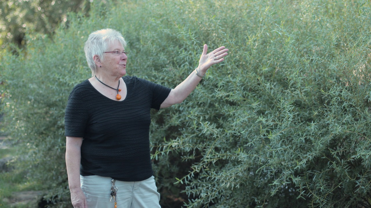 Edith Wangenheim zeigt auf eine Böschung