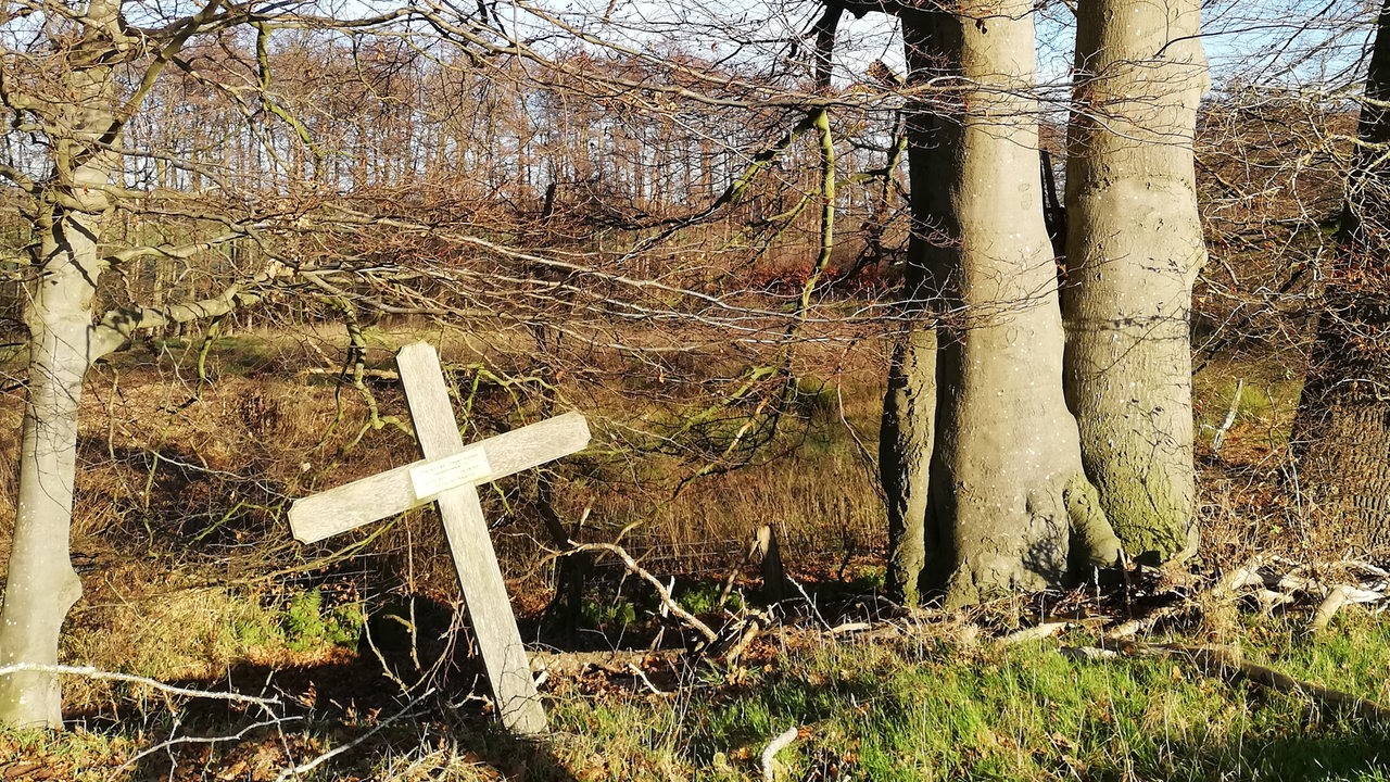 Ein Holzkreuz zwischen Bäumen.