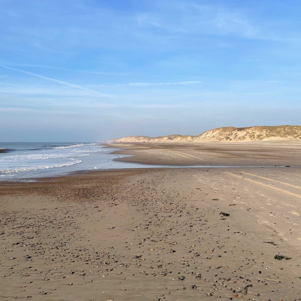 Sanddünen am Strand von Hvide Sande