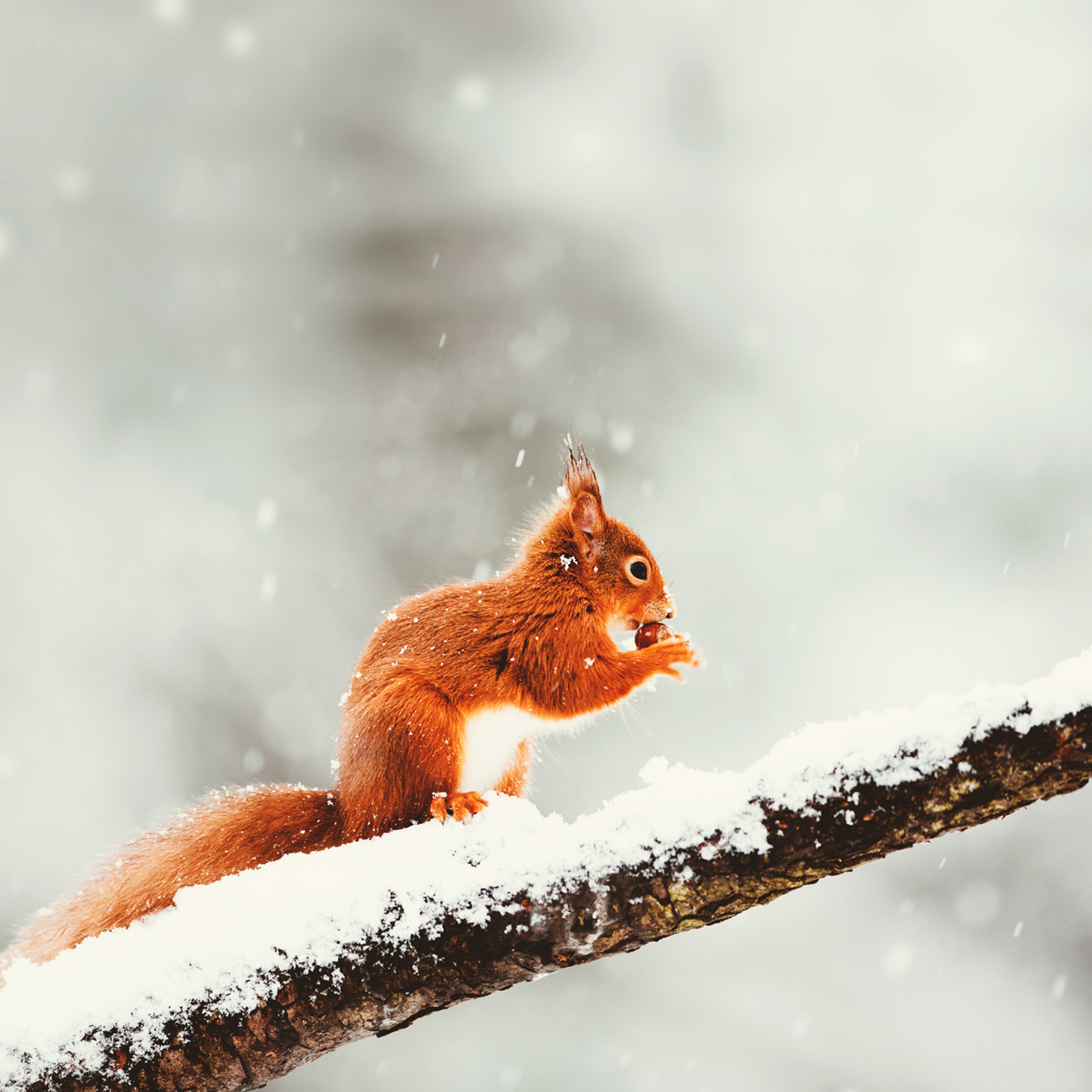 Durch den Winter kommen - Bremen Zwei