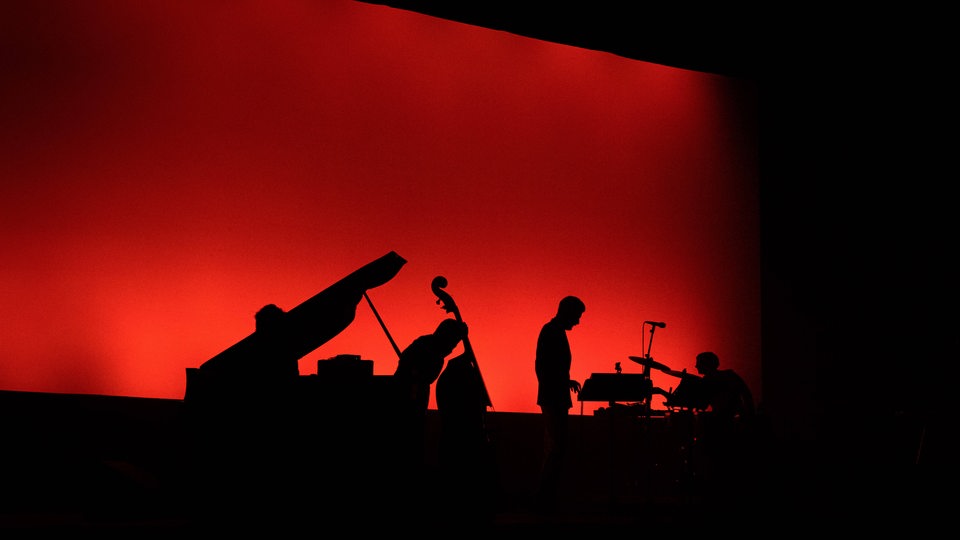 Silhouette von Musikern auf einer Bühne