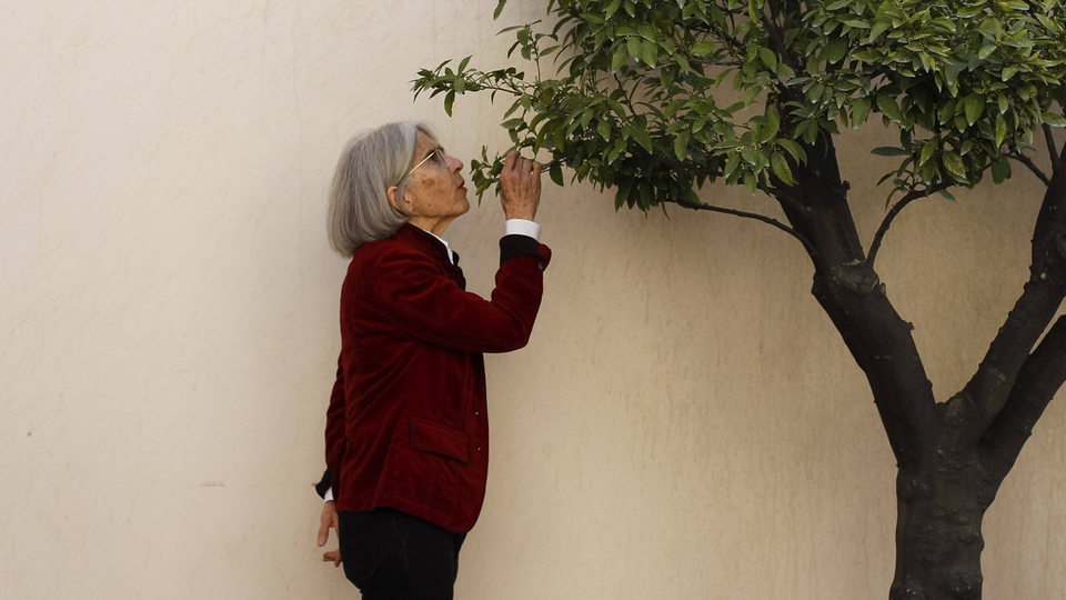 Schriftstellerin Donna Leon riecht an einem Olivenbaum (Archivbild)
