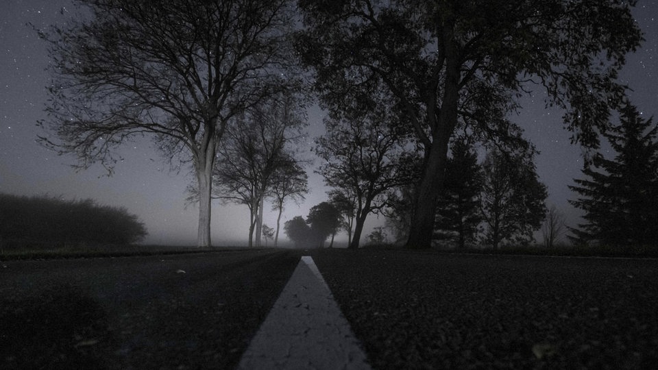 Eine Landstraße bei Nacht (Symbolbild)