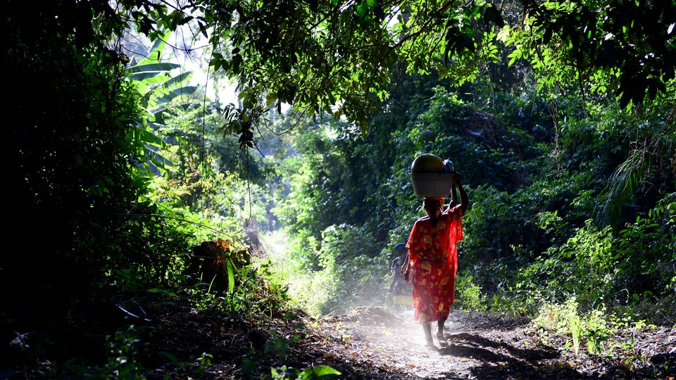 Eine Frau im Dschungel trägt einen Korb auf dem Kopf.