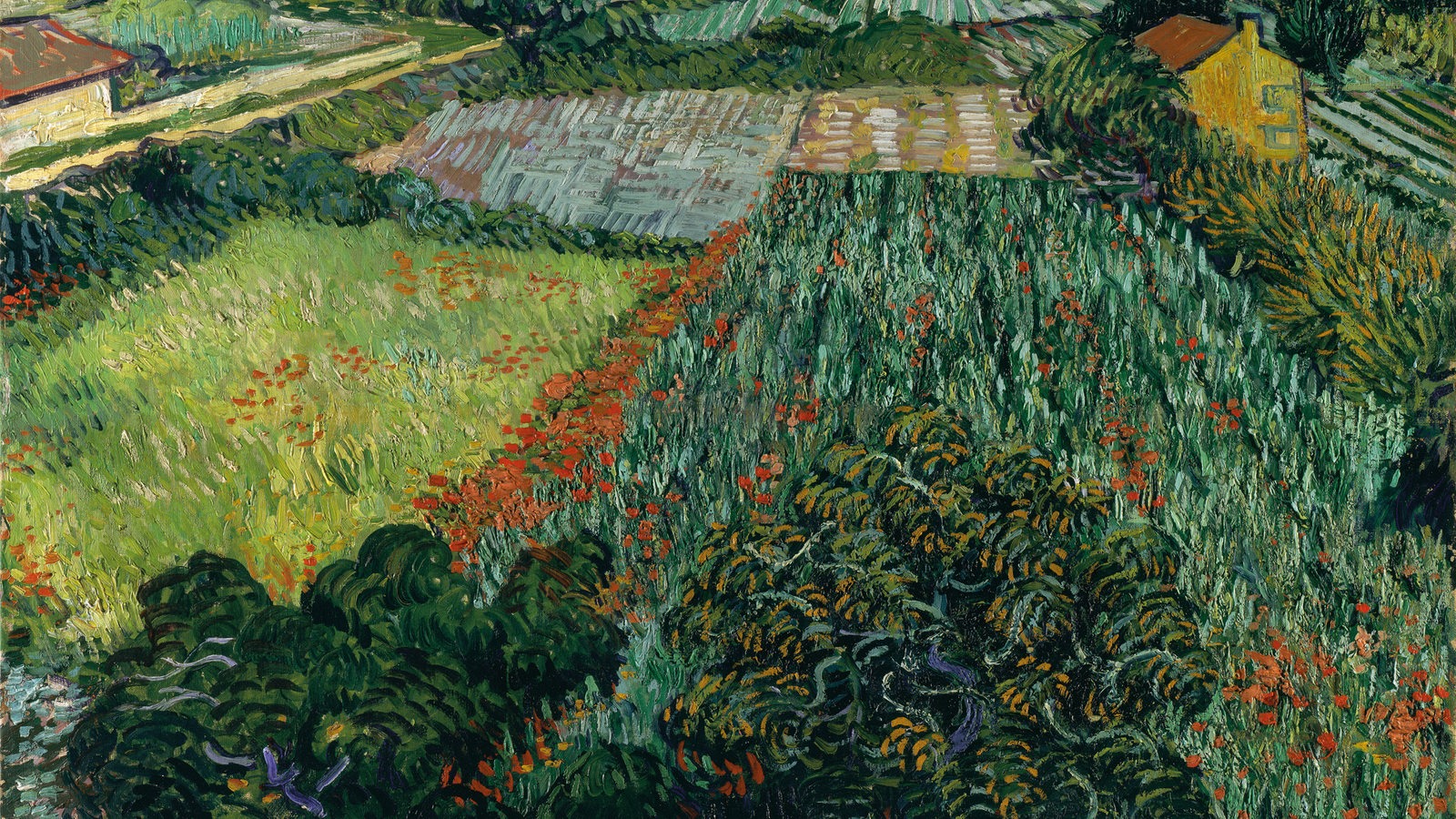 Vincent van Gogh, "Mohnfeld", 1889