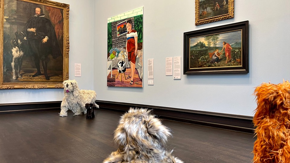 Installation mit Hunden in  der Ausstellung "Resonanz" in der Kunsthalle Bremen