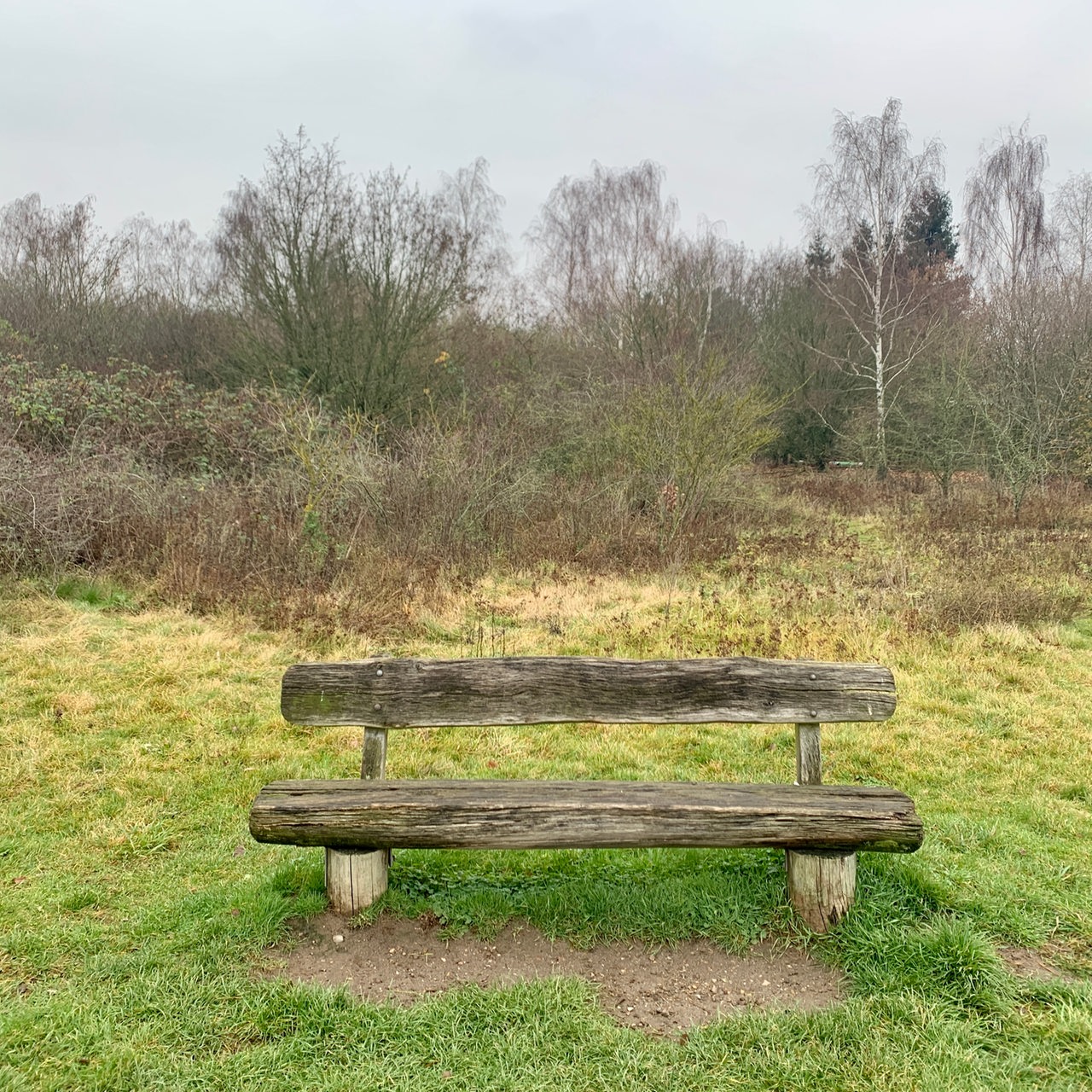 Eine Bank im Park Links der Weser.