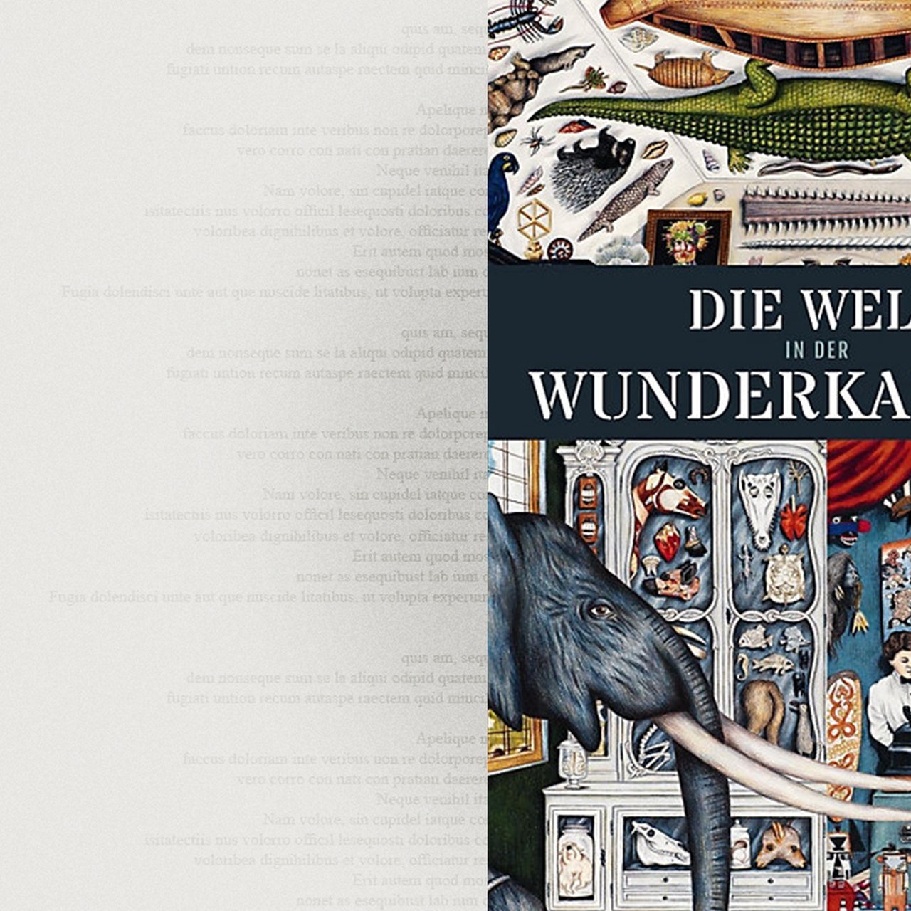 Cover: Alexandre Galand/Delphine Jacquot, Die Welt in der Wunderkammer, Gerstenberg Verlag