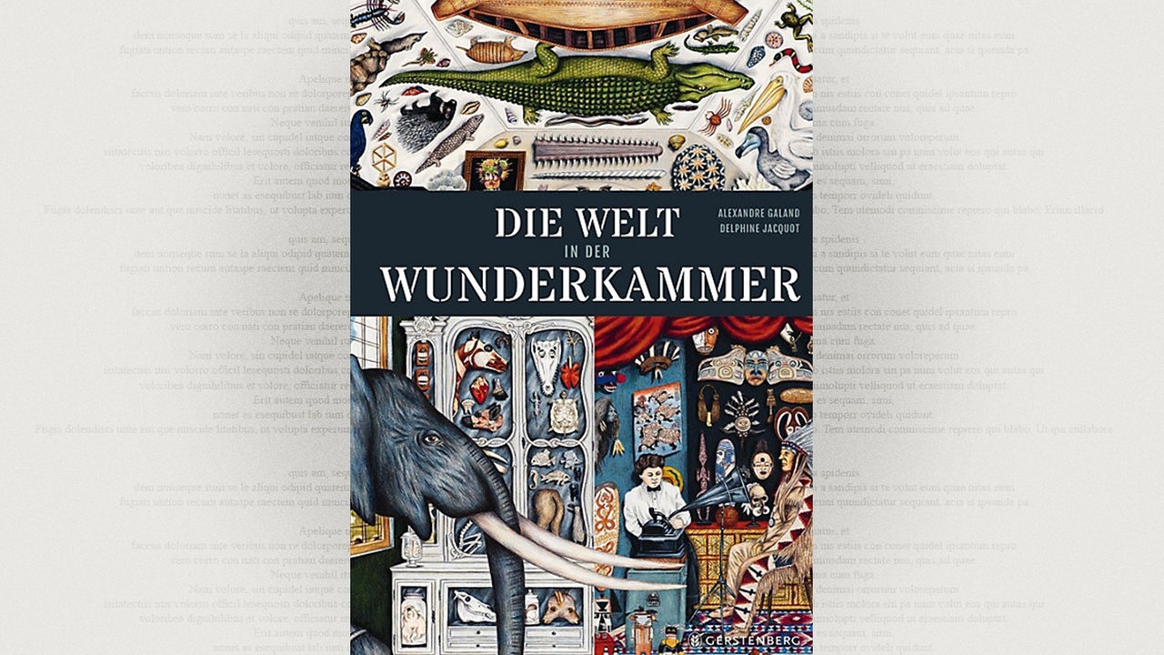 Cover: Alexandre Galand/Delphine Jacquot, Die Welt in der Wunderkammer, Gerstenberg Verlag