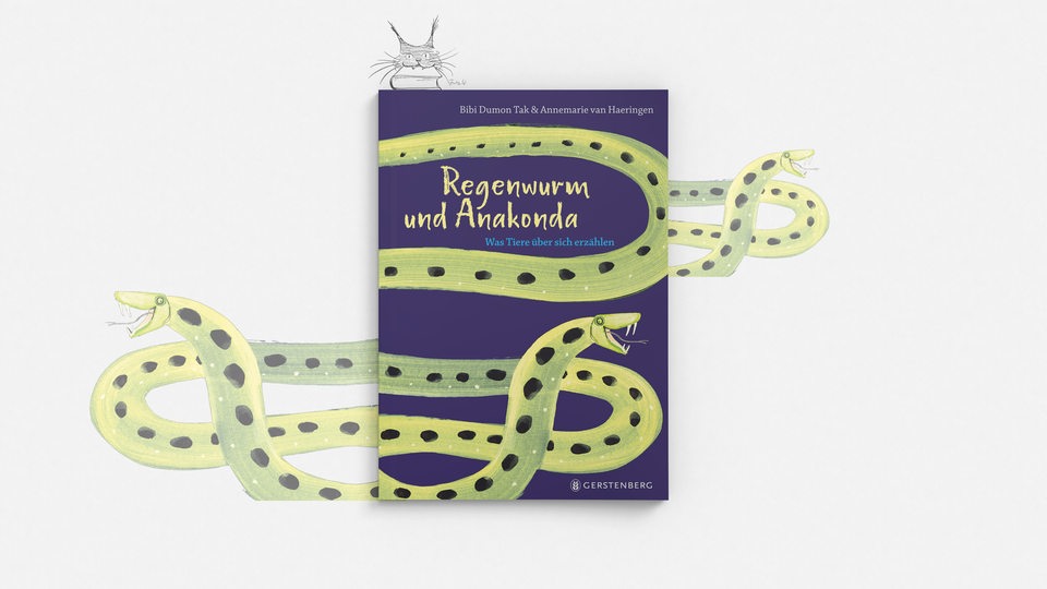 Buchcover: Bibi Dumon Tak & Annemarie van Haeringen "Regenwurm und Anakonda"