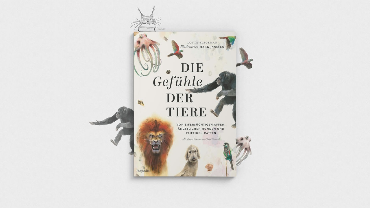 Buchcover "Die Gefühle der Tiere" von Lotte Stegemann, mit Grafikelementen als Luchs des Monats