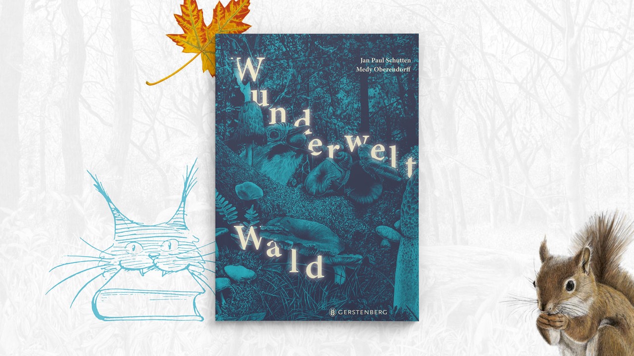 Cover: Jan Paul Schutten und Medy Oberendorff: "Wunderwelt Wald", Gerstenberg Verlag, 22 Euro.