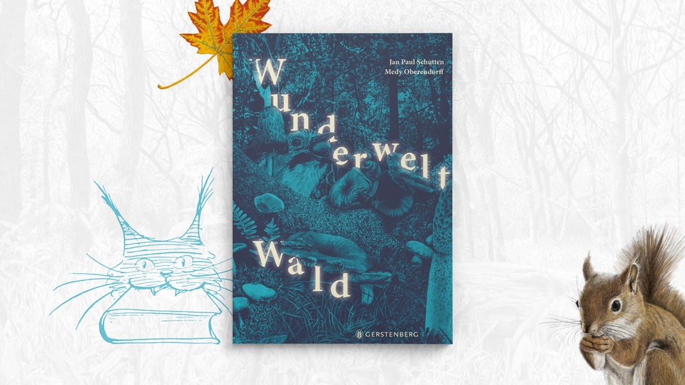 Cover: Jan Paul Schutten und Medy Oberendorff: "Wunderwelt Wald", Gerstenberg Verlag, 22 Euro.
