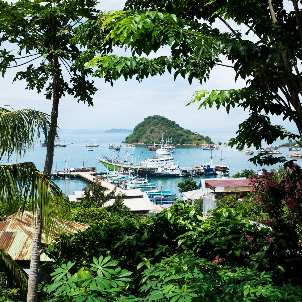 Blick auf den Hafen von Labuan Bajo, Indonesien, durch tropische Vegetation