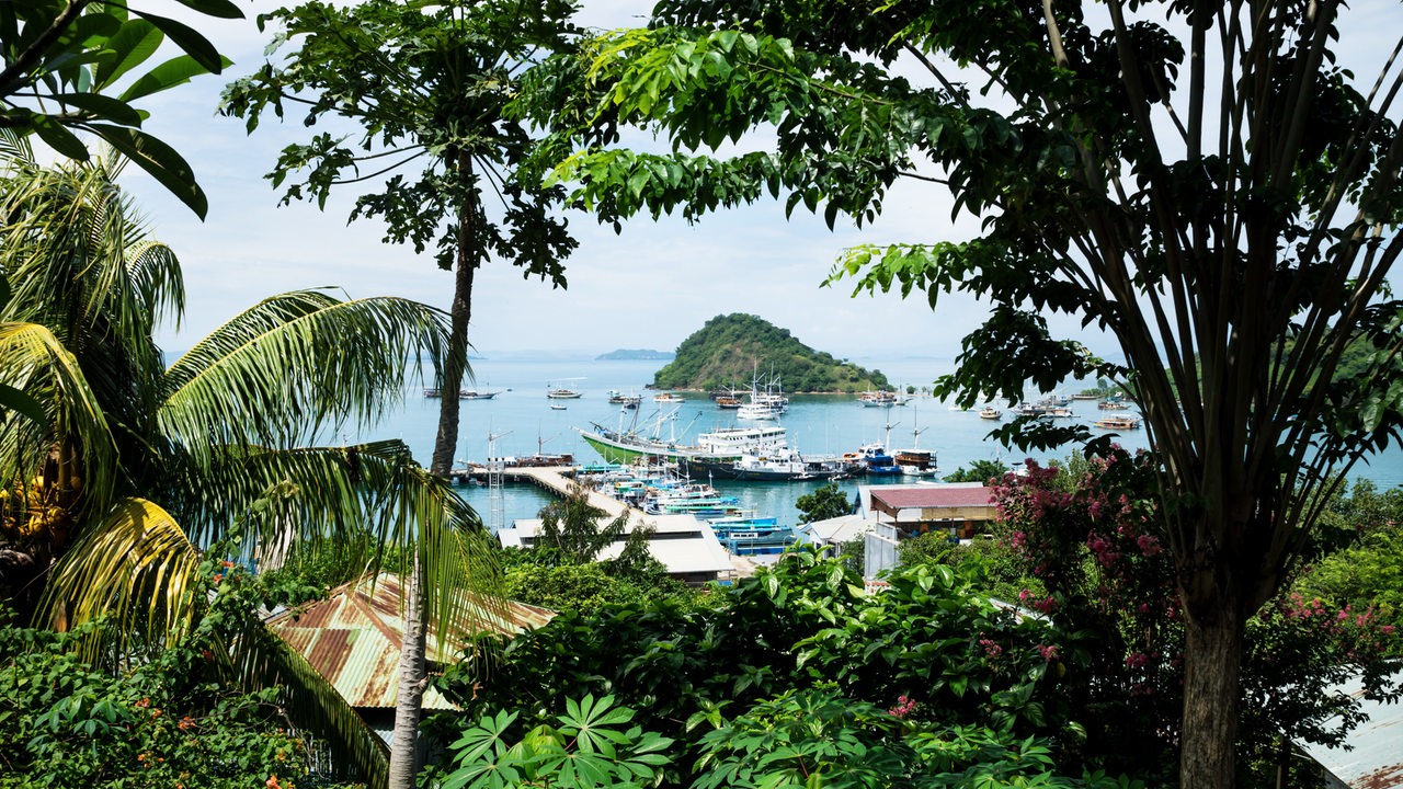 Blick auf den Hafen von Labuan Bajo, Indonesien, durch tropische Vegetation