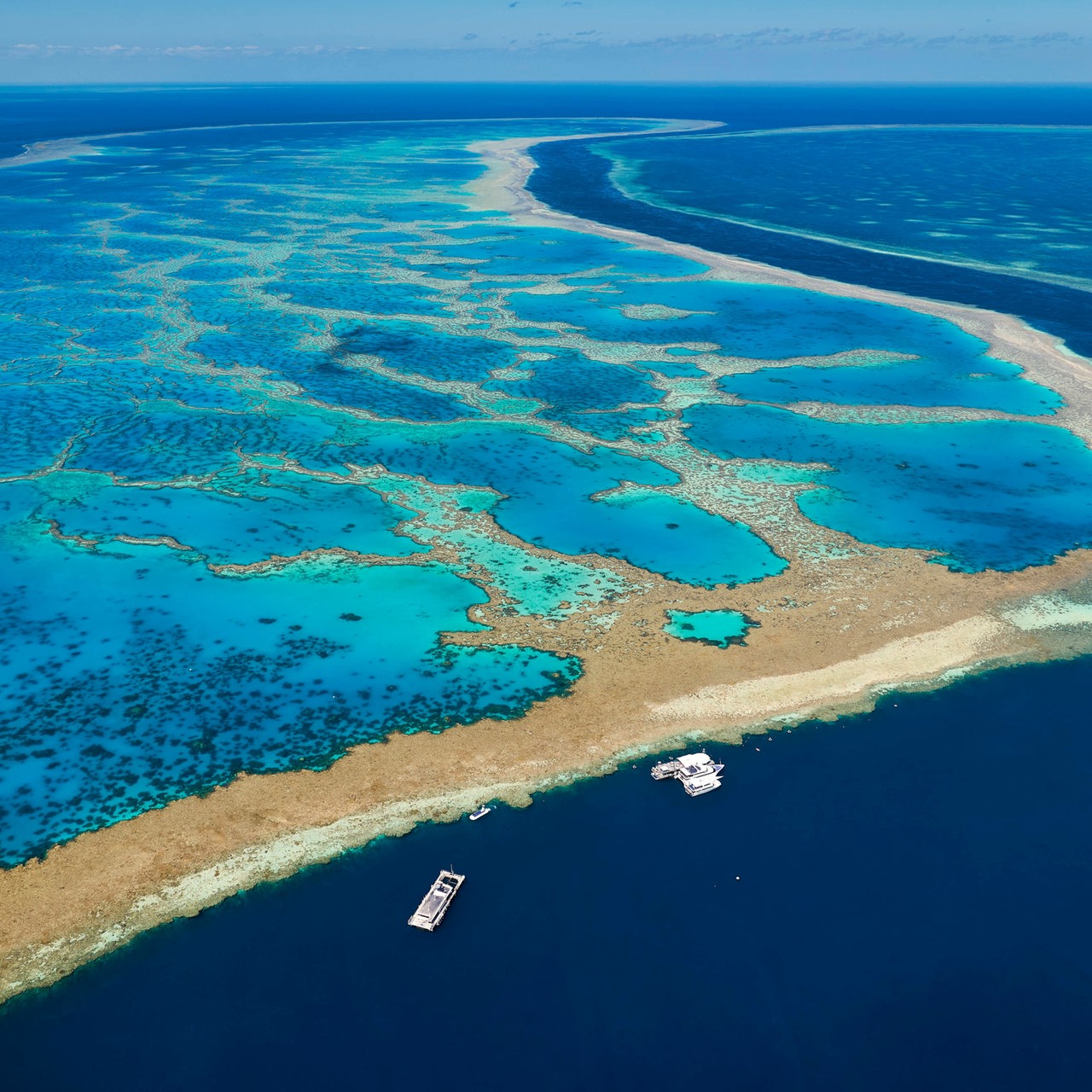 Blick über das Great Barrier Reef im Norden von Australien