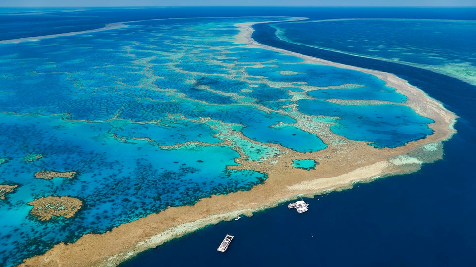 Blick über das Great Barrier Reef im Norden von Australien
