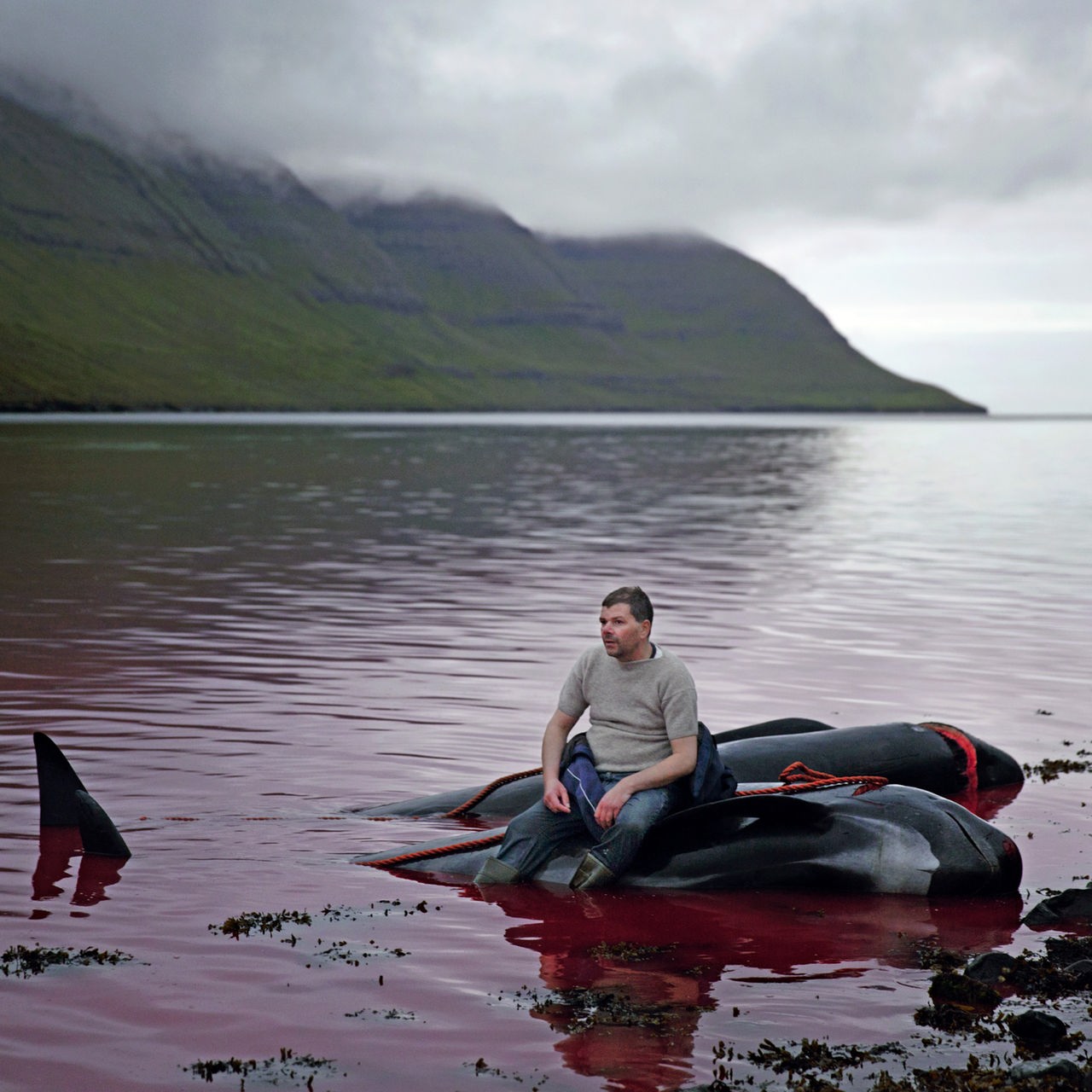 Ein Färöer-Fischer sitzt auf einem toten Wal
