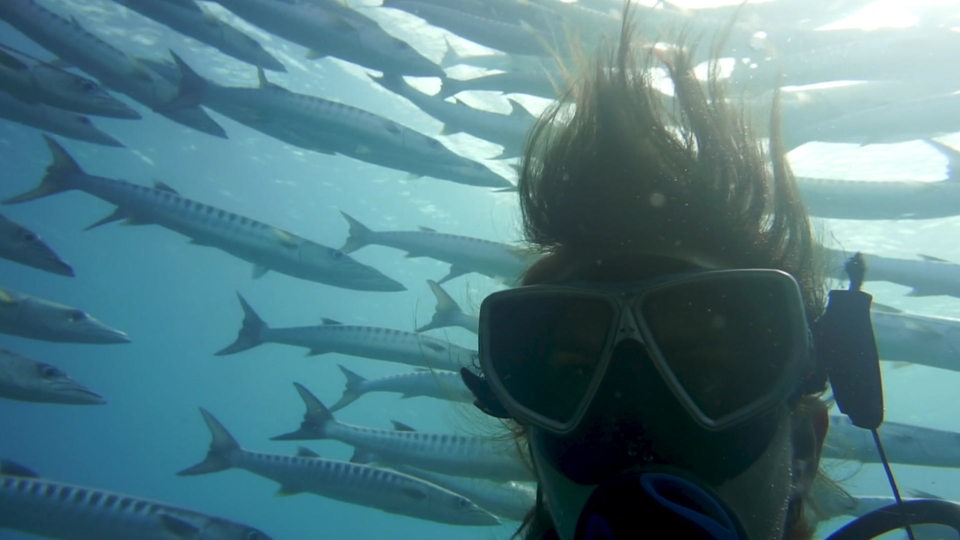 Bremer Meeresbiologin Julia Schnetzer taucht mit den Fischen.