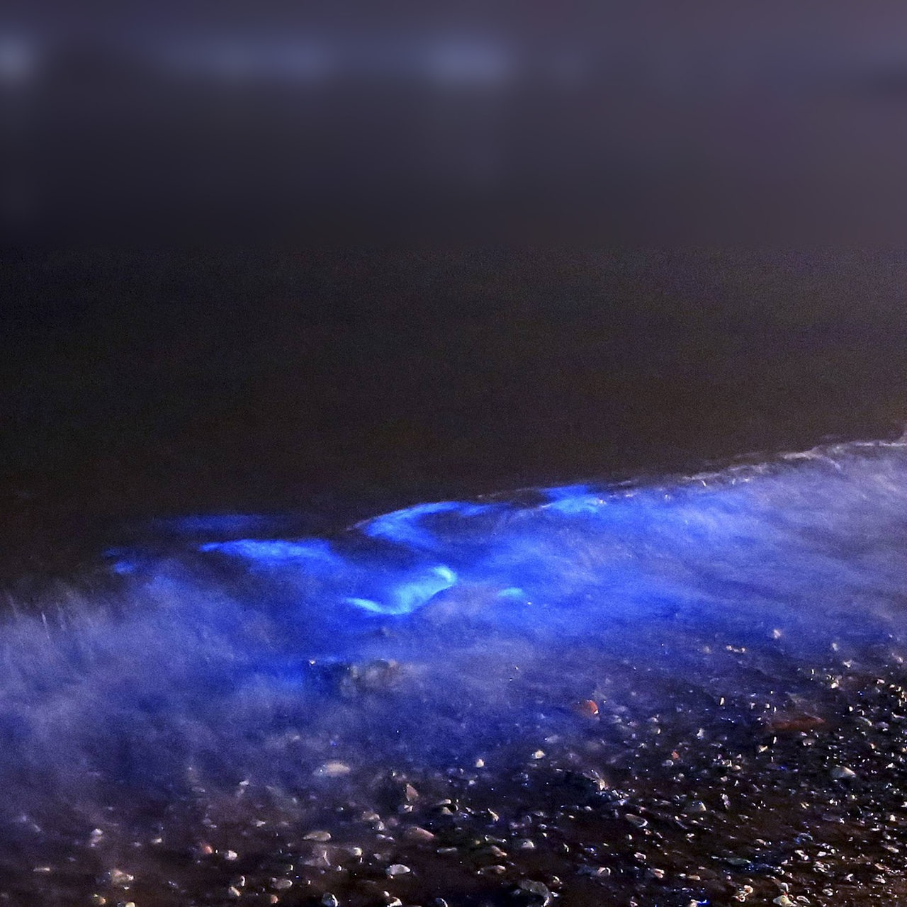 Blau fluoreszierendes Licht leuchtet in der Nacht auf dem Meer