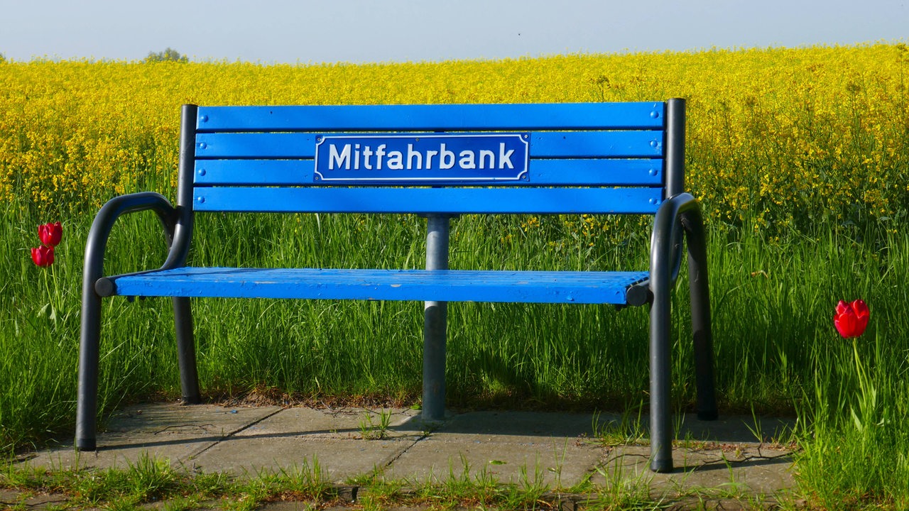 Eine Mitfahrbank steht vor einem blühenden Rapsfeld auf dem Land