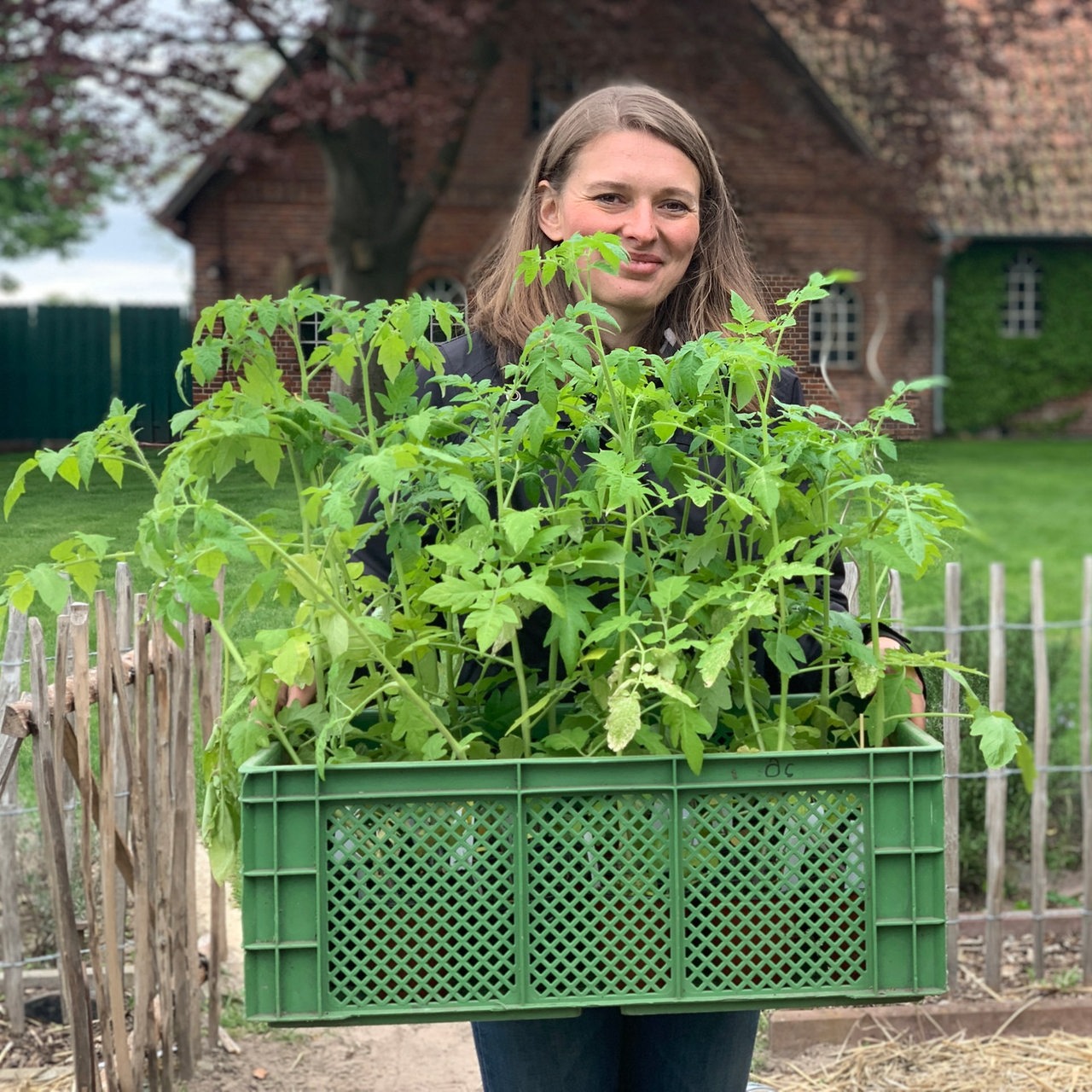 Swetlana Osmers trägt Tomatenpflanzen in einer Kiste