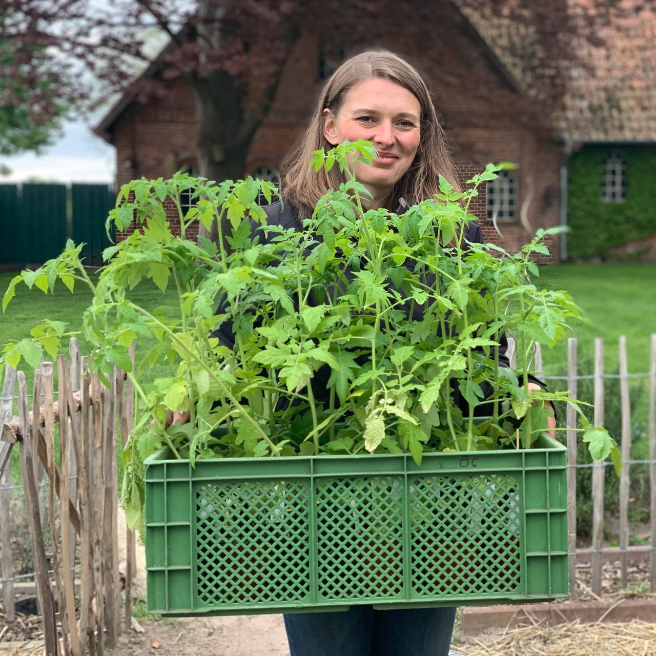 Swetlana Osmers trägt Tomatenpflanzen in einer Kiste