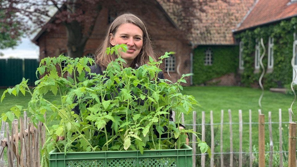 Swetlana Osmers trägt Tomatenpflanzen in einer Kiste