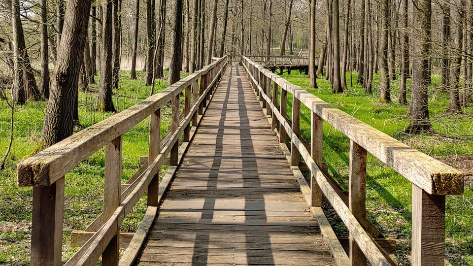 Ozeanbrücke, mitten im Wald, rund zwei Kilometer von Harpstedt