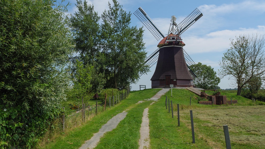 Landschaftsaufnahme Ditzum: Windmühle am Ende eines Feldweges