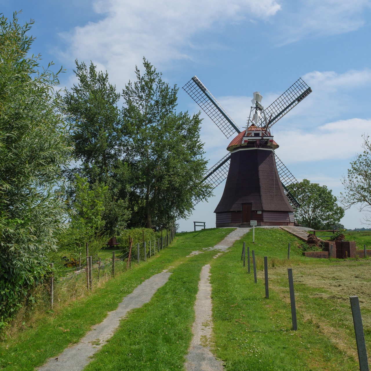 Landschaftsaufnahme Ditzum: Windmühle am Ende eines Feldweges