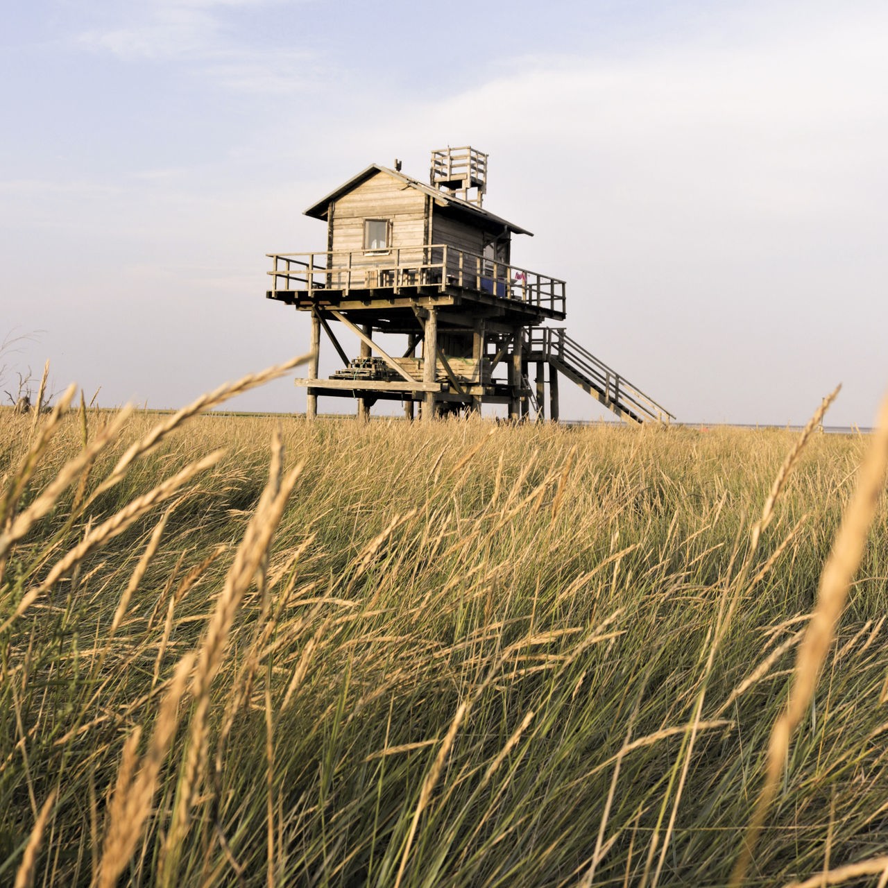 Die Hütte des Vogelwartes auf Trischen.