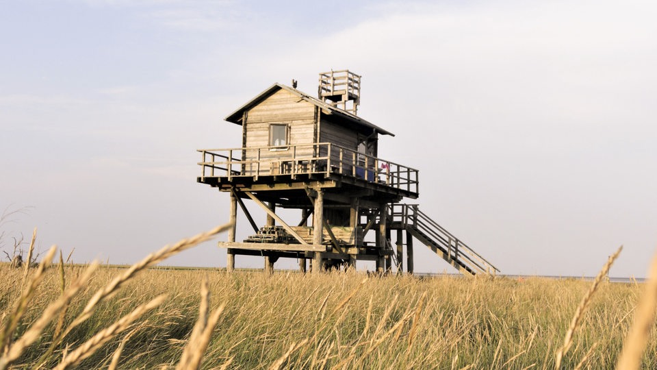 Die Hütte des Vogelwartes auf Trischen.