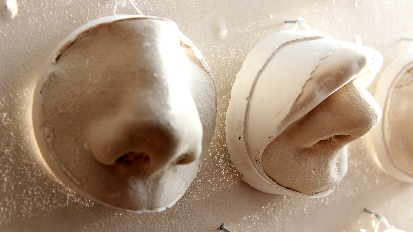 Gipsabdrücke von Nasen hängen an der Wand im kek Kindermuseum